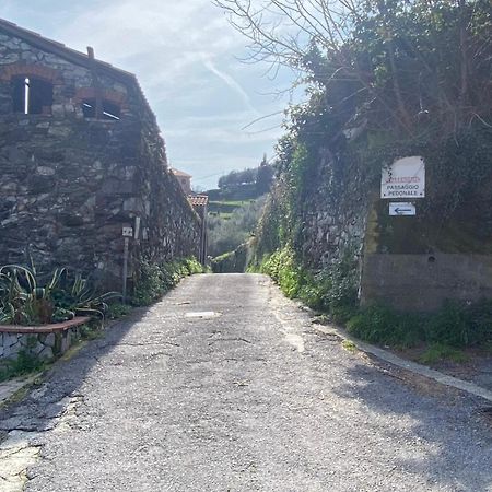 Apartamento Ca Teodoi Génova Exterior foto